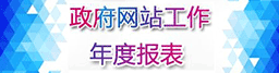 政府網(wǎng)站工作年度報(bào)表